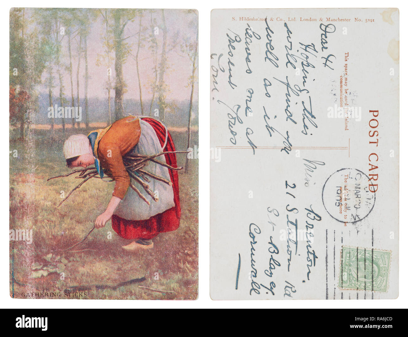 Tarjeta postal de recolección de palos enviado desde Londres a Miss Brenton, 21 Station Road, St Blazey, Cornwall envió en 1905 Foto de stock