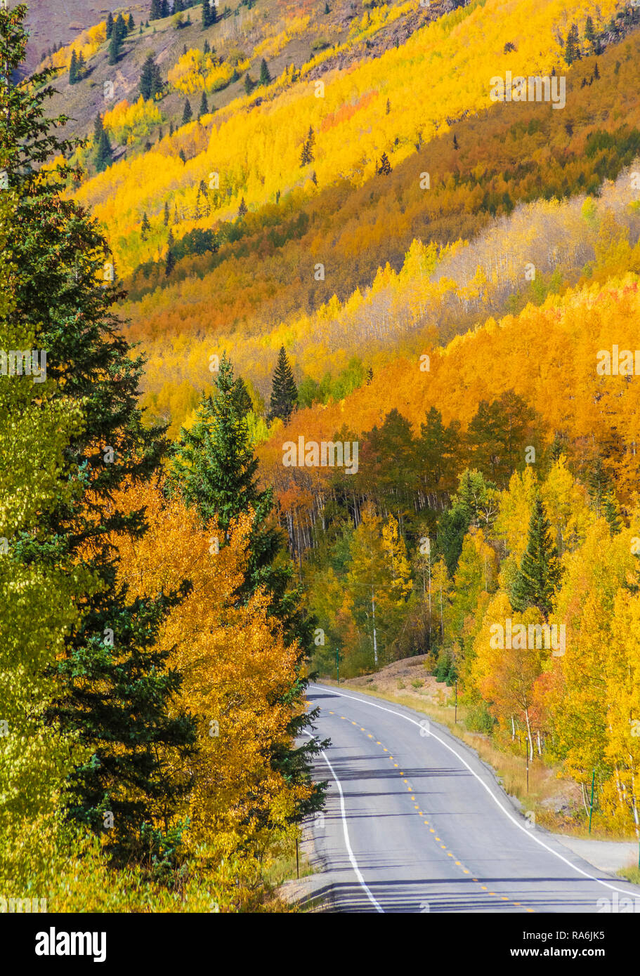 Árboles de Aspen y colores del otoño a lo largo de la Autopista US 550, el Million Dollar Highway, entre Ouray y Silverton, Colorado. Foto de stock