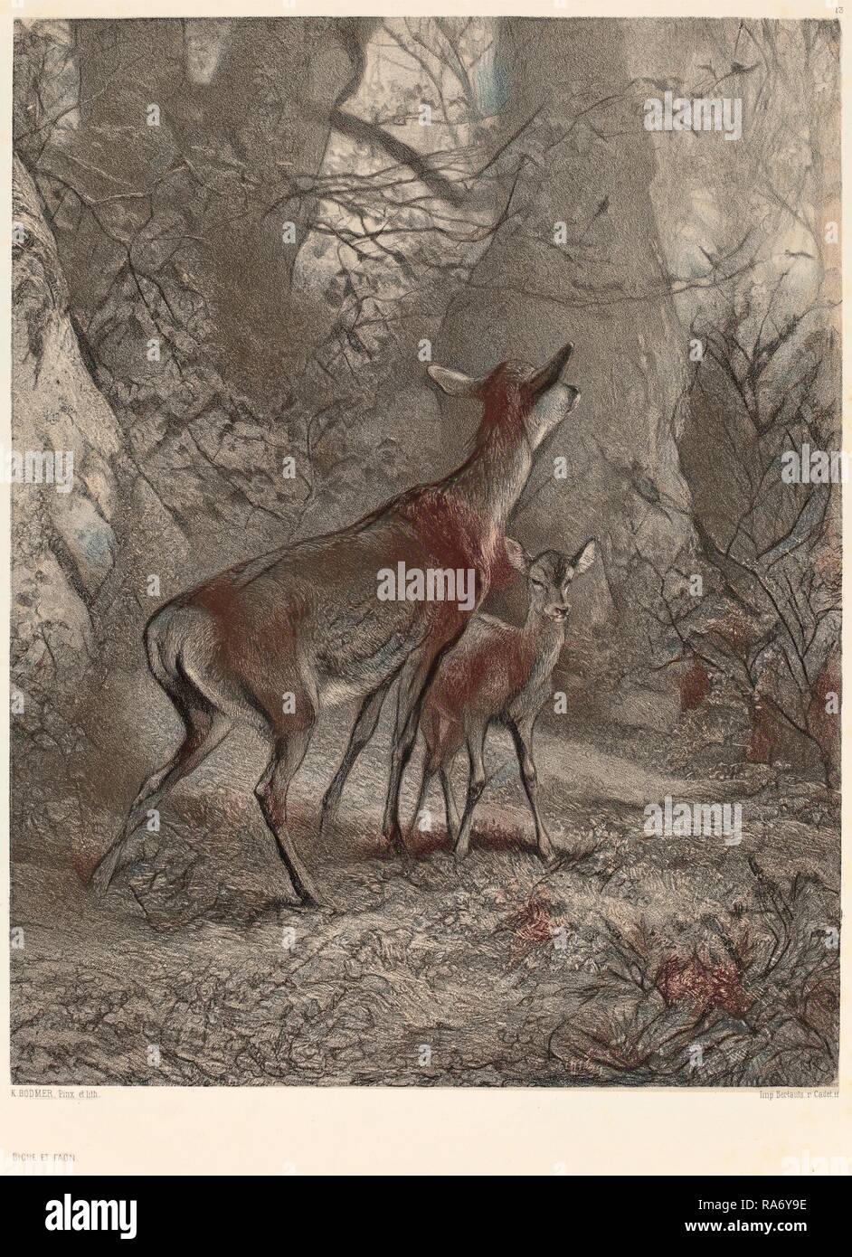 Biche Et Faon Fotos E Imagenes De Stock Alamy
