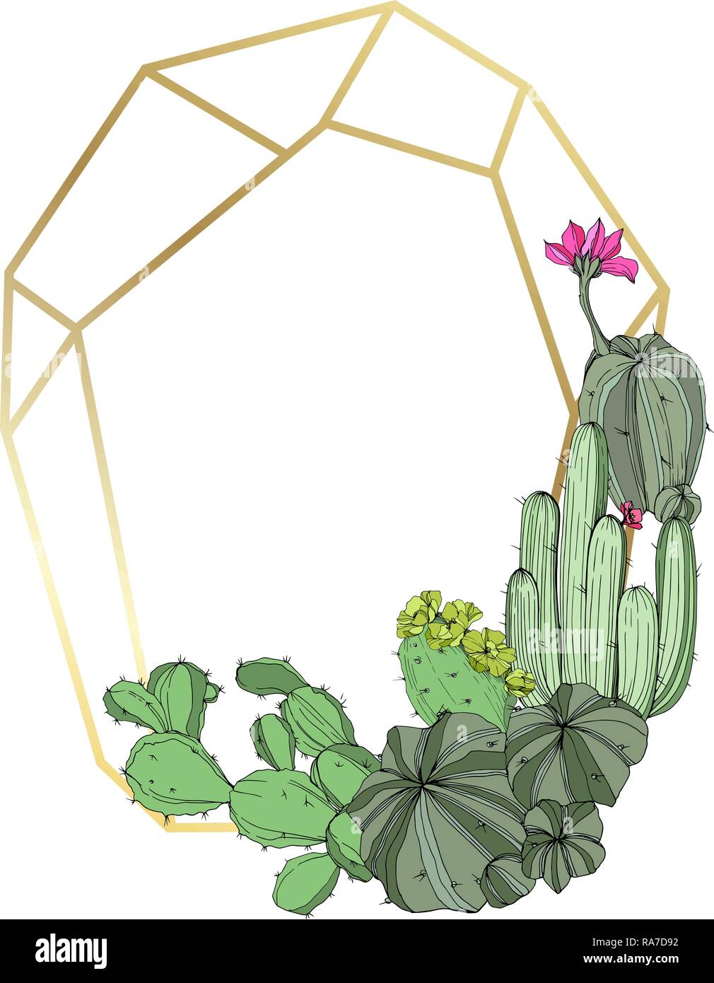 Vector floral flores botánico cactus verde. Tinta de grabado art. borde de  marco cuadrado de ornamento Imagen Vector de stock - Alamy