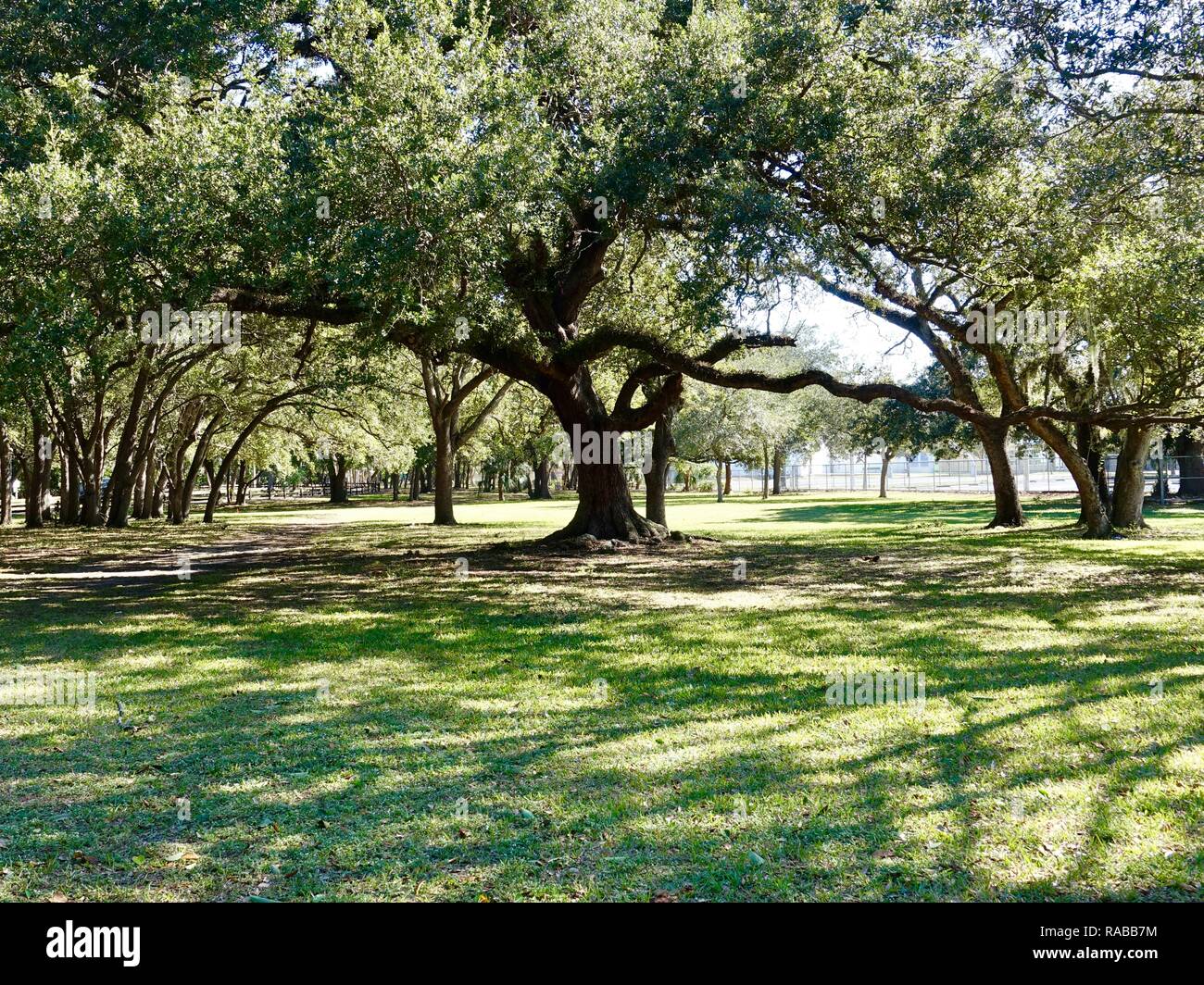 Parque indio de las hamacas de kendall fotografías e imágenes de alta