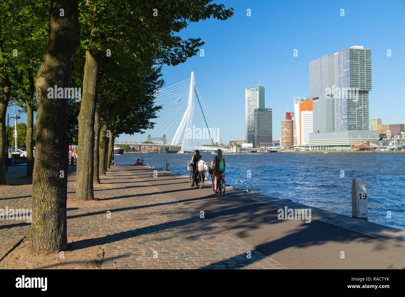 Gente en bicicleta a lo largo del río Nieuwe Maas, Rotterdam, Zuid Holland, Netherlands, Europa Foto de stock