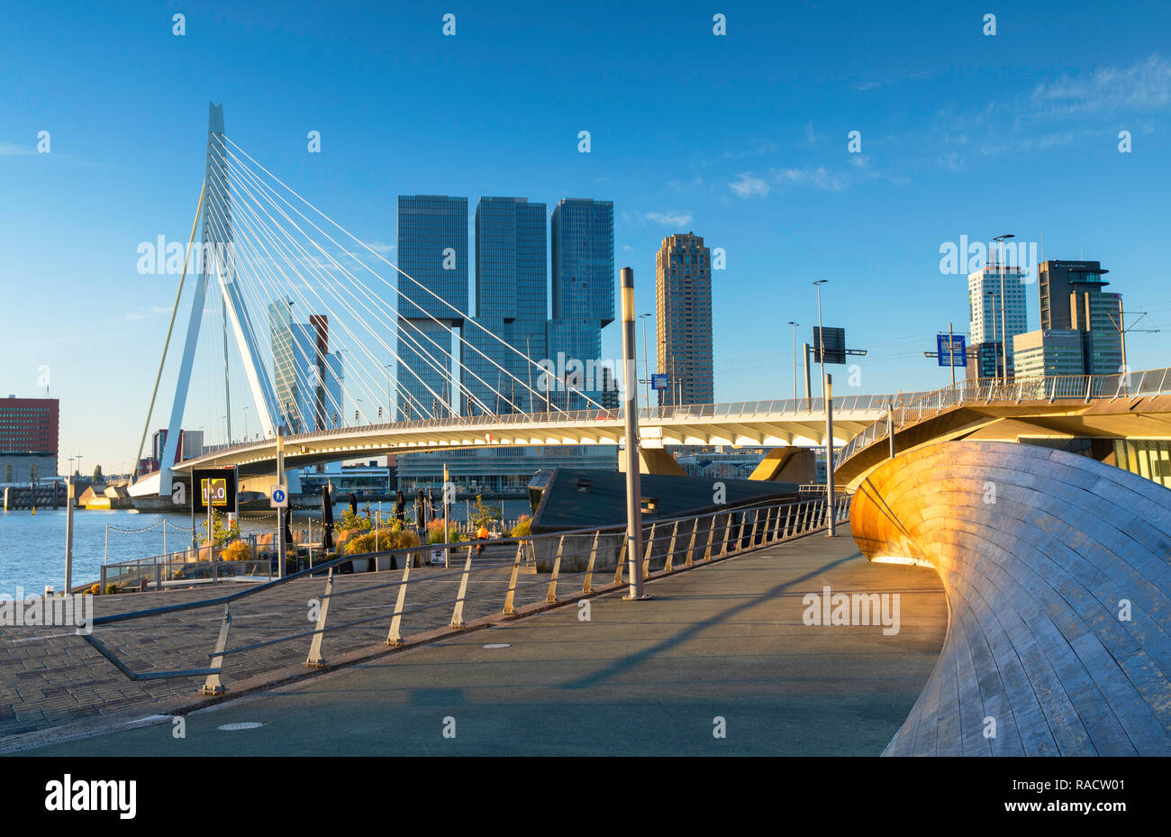 Puente Erasmus (Erasmusbrug), Rotterdam, Zuid Holland, Netherlands, Europa Foto de stock