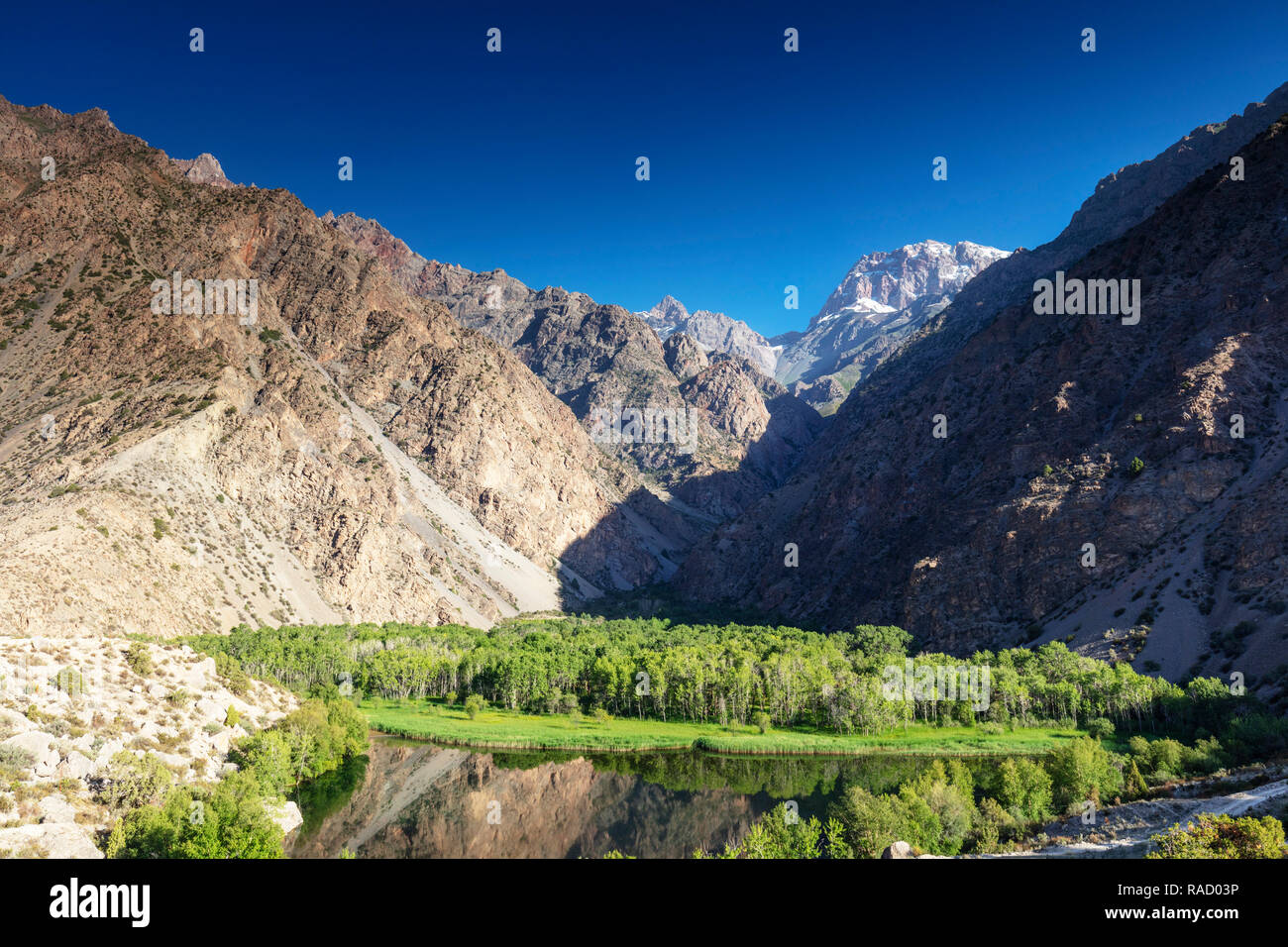Oasis de árboles por debajo de las montañas, el lago, las montañas de ventilador Iskanderkul, Tayikistán, en Asia Central, Asia Foto de stock