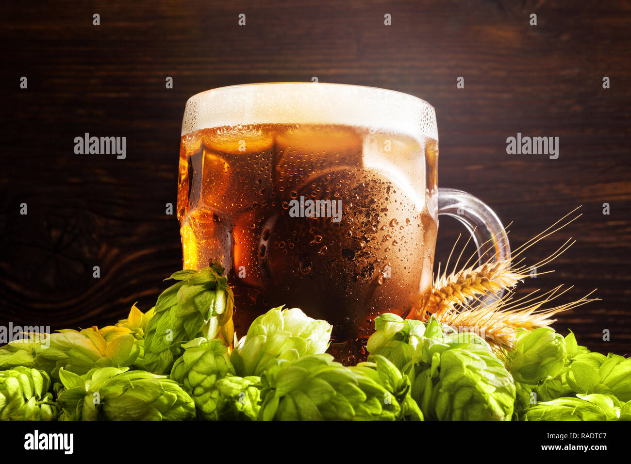 La cerveza de lujo en cristal con el lúpulo y la cebada ramitas Fotografía  de stock - Alamy