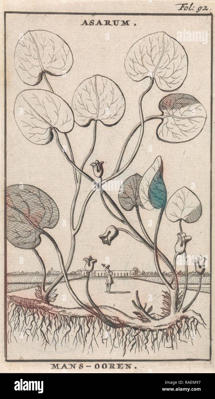Mansoor, Caspar, Jan Luyken Claesz diez Hoorn, 169. Reimagined by Gibon. Arte clásico con un toque moderno reinventado Foto de stock
