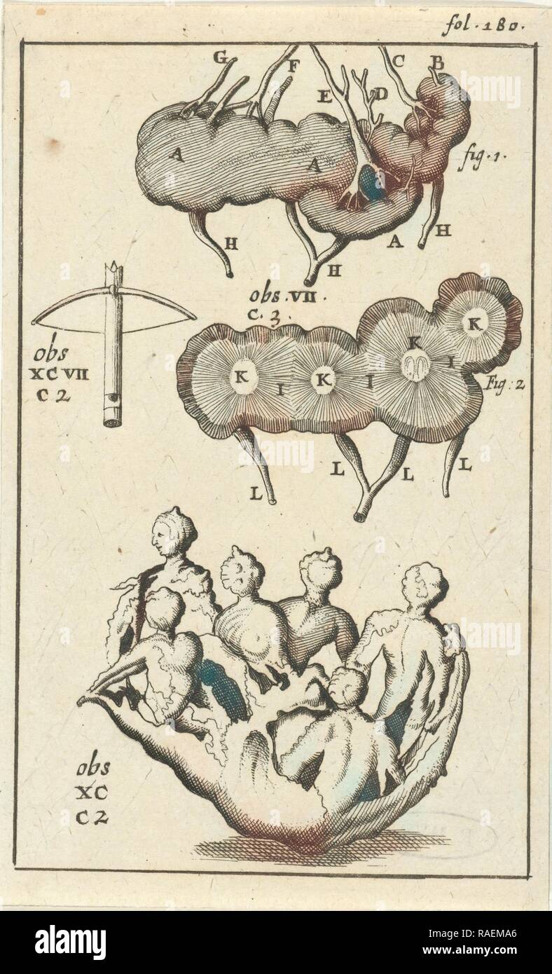 Imagen anatómica VII, Jan Luyken, Jan Claesz diez Hoorn, 1680: 168). Reimagined by Gibon. Arte clásico con un moderno reinventado Foto de stock