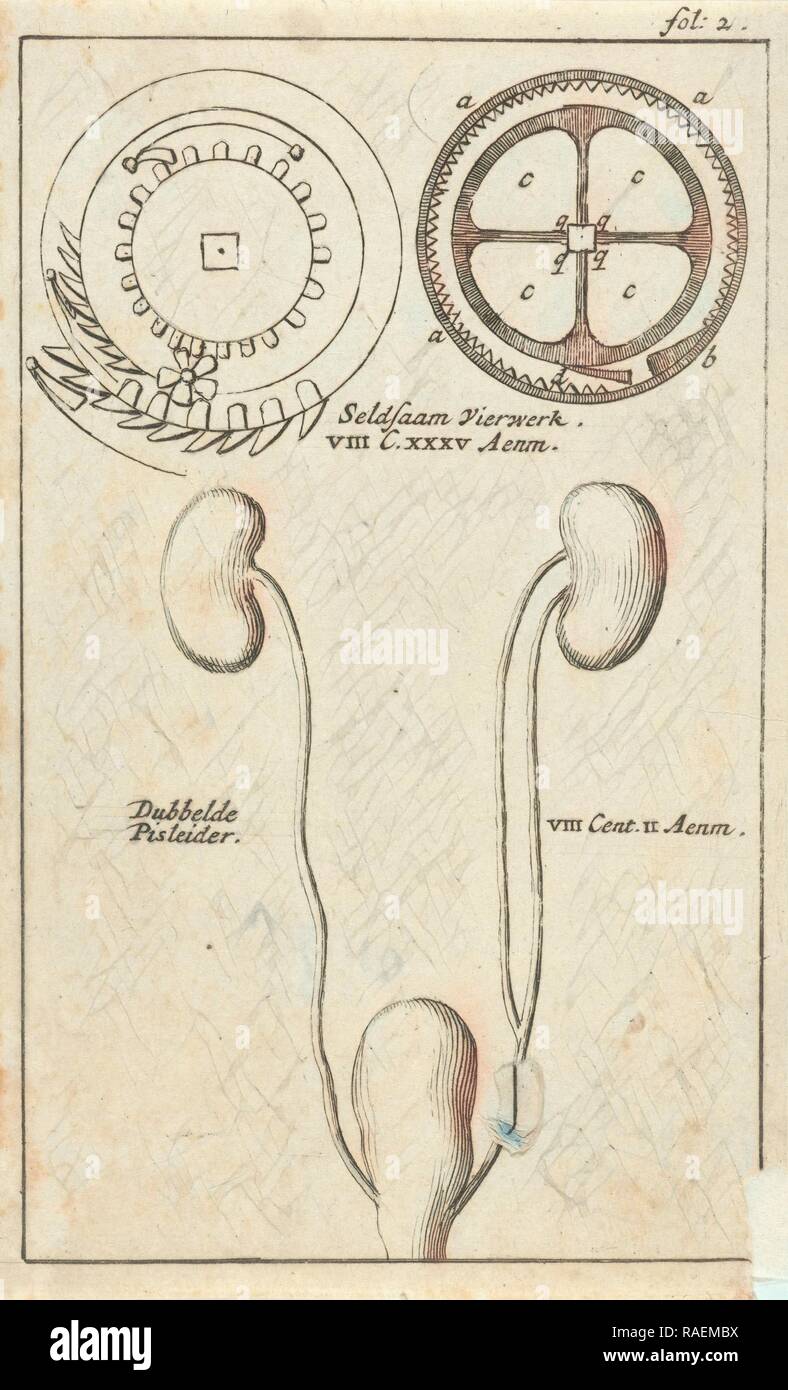 Imagen anatómica XXI, Jan Luyken, Jan Claesz diez Hoorn, 1680: 168). Reimagined by Gibon. Arte clásico con un moderno reinventado Foto de stock