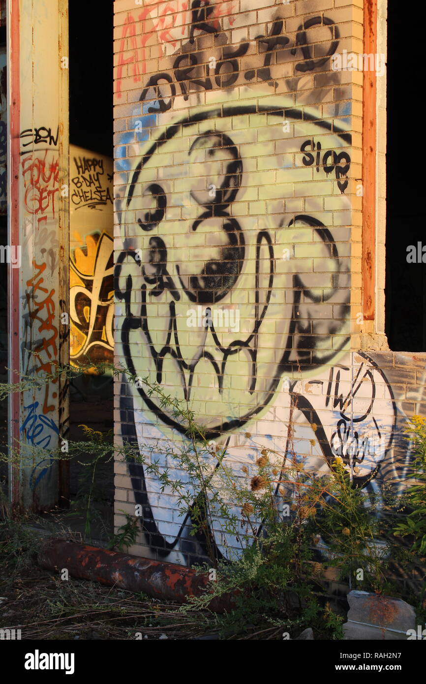 Arte graffiti urbano de Detroit Throw-Up pedazo! Foto de stock