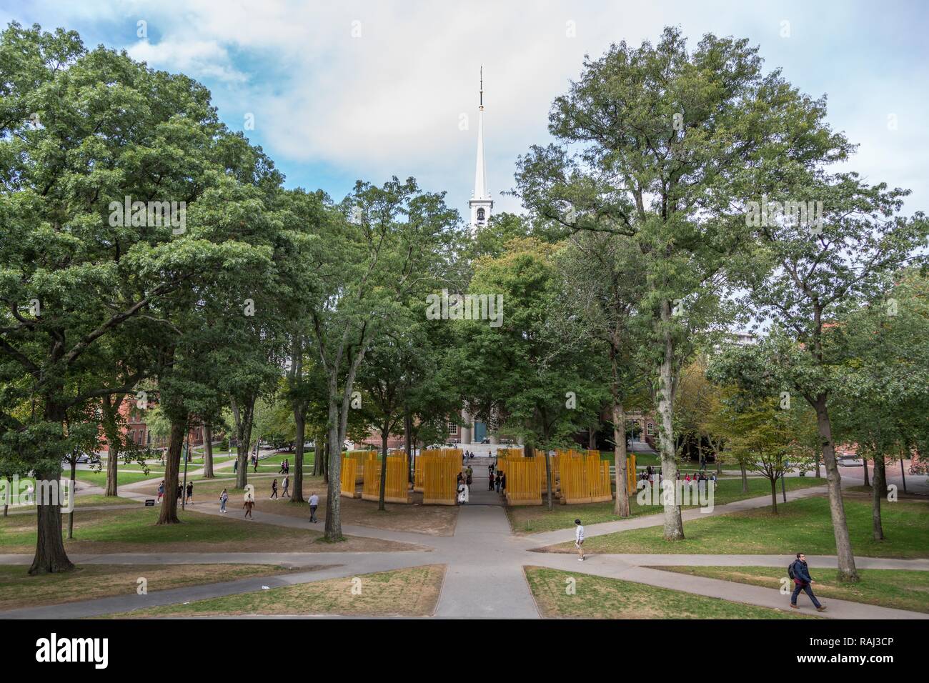 Park en Harvard Yard, de la Universidad de Harvard, Cambridge, Massachusetts, EE.UU. Foto de stock