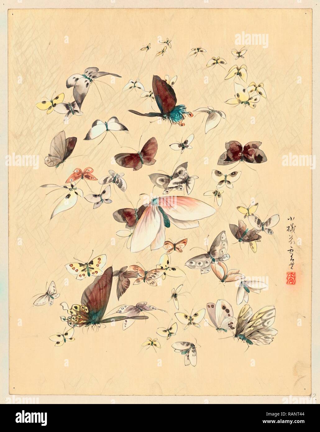 [Mariposas y polillas], [entre 1800 y 1850] 1: Color de dibujo. Reimagined by Gibon. Arte clásico con un moderno reinventado Foto de stock