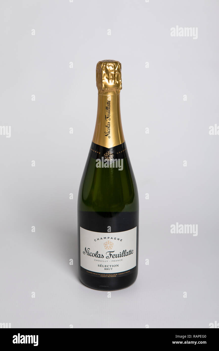 Una botella de champaña, bodegones, telón de fondo blanco Fotografía de