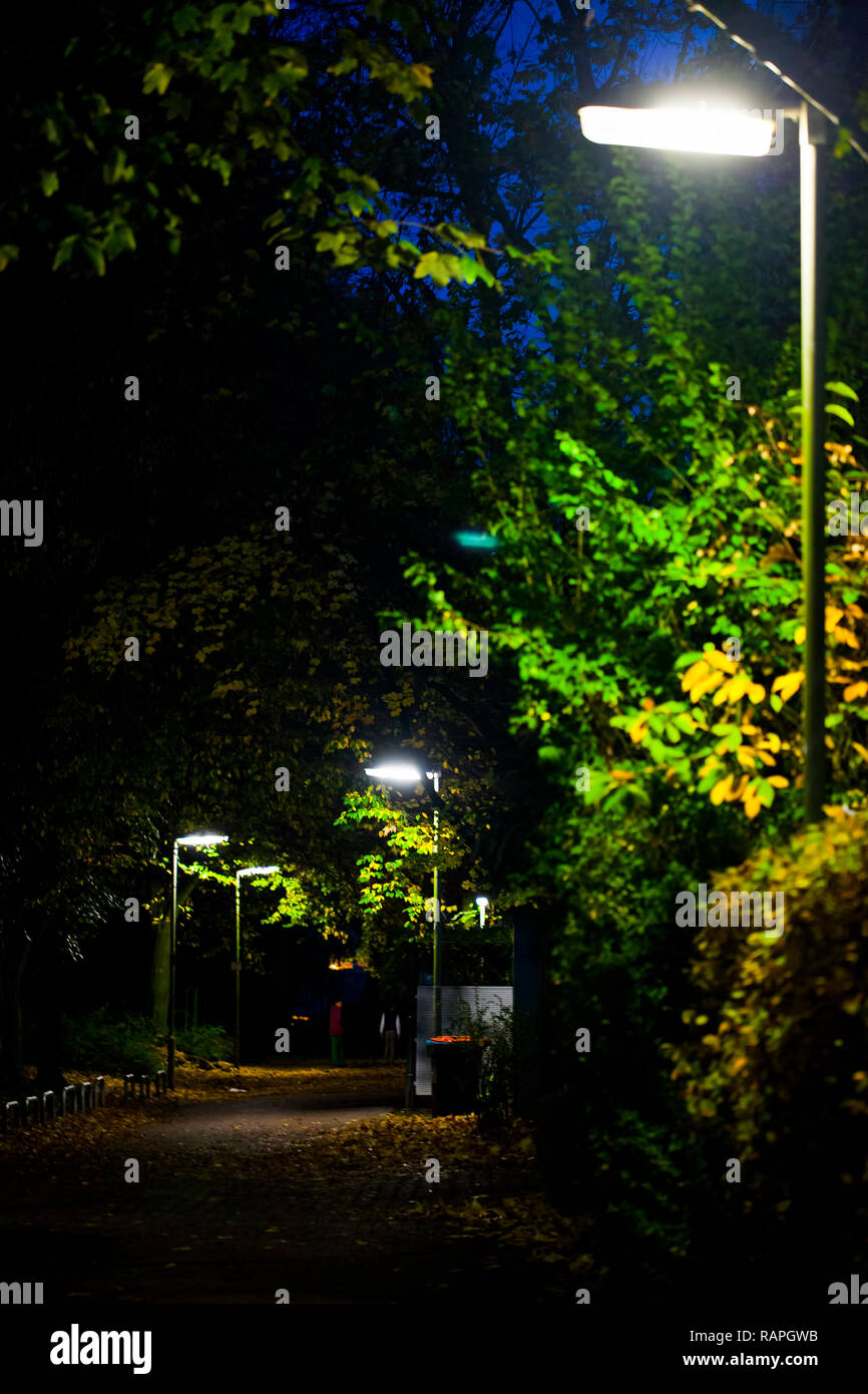 Lámpara De La Calle Por La Noche En La Oscuridad De La Foto - 