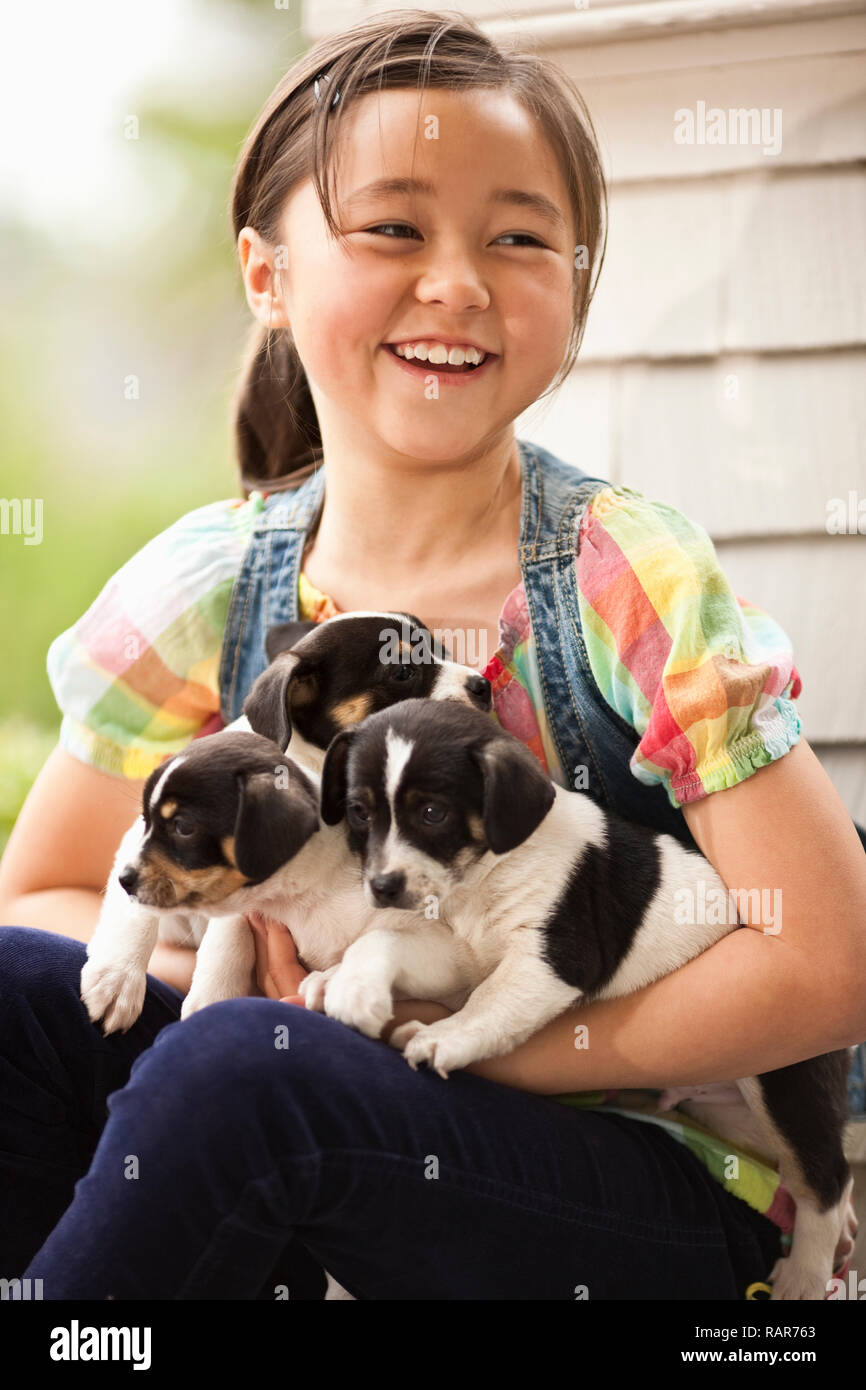 tres perros grandes de diferentes razas jugando juntos en el parque de  perros Fotografía de stock - Alamy