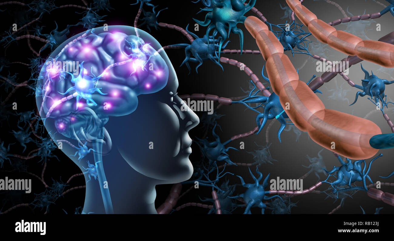 Las células nerviosas del cerebro y el sistema nervioso anatomía humana concepto como un trastorno de la función neuronal neurología y símbolo de la esclerosis múltiple o el alzheimer. Foto de stock