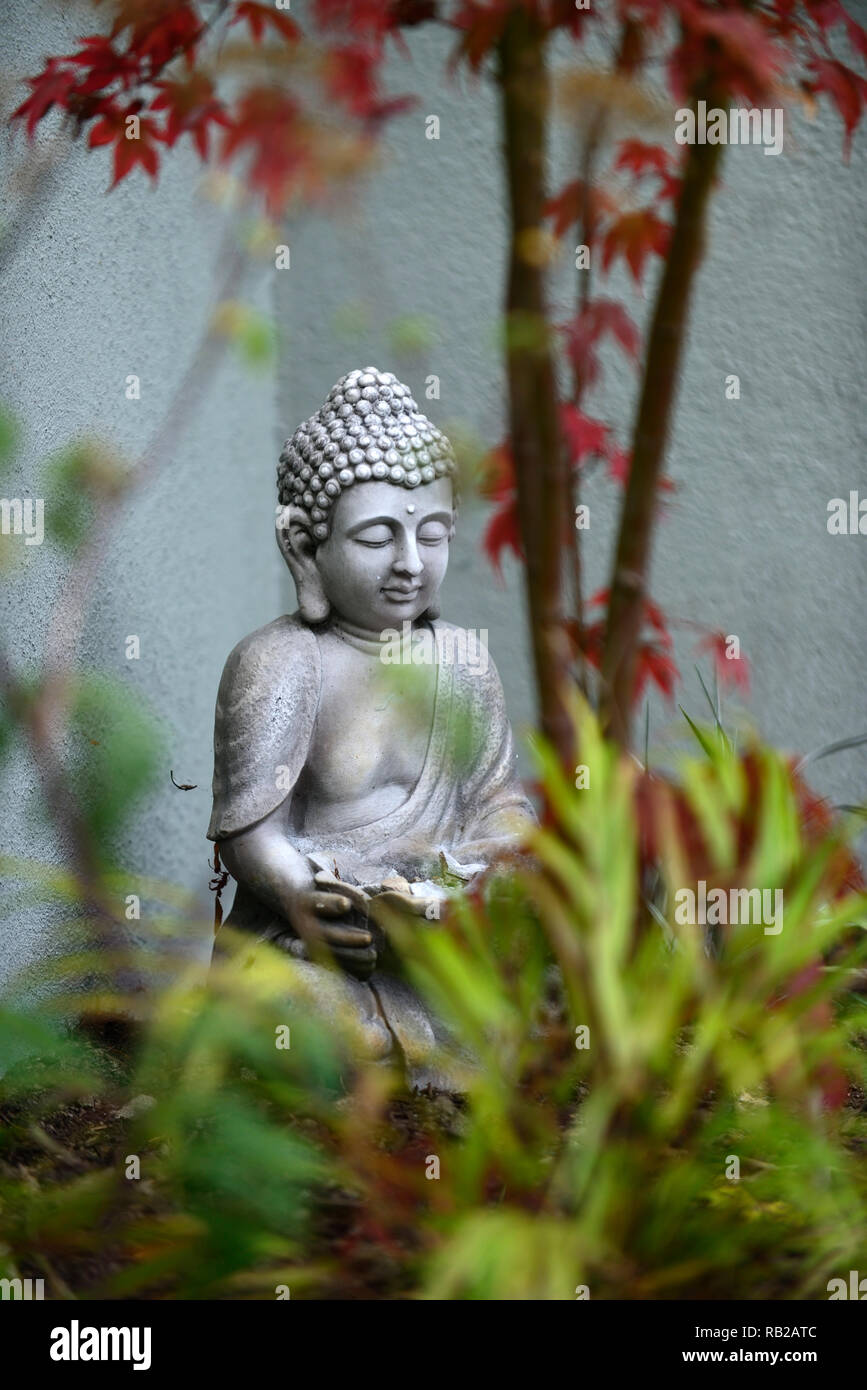 Estatua de buda,contemplar,contemplando,la paz,tranquila,esquina esquina,jardín,jardines florales,RM Foto de stock