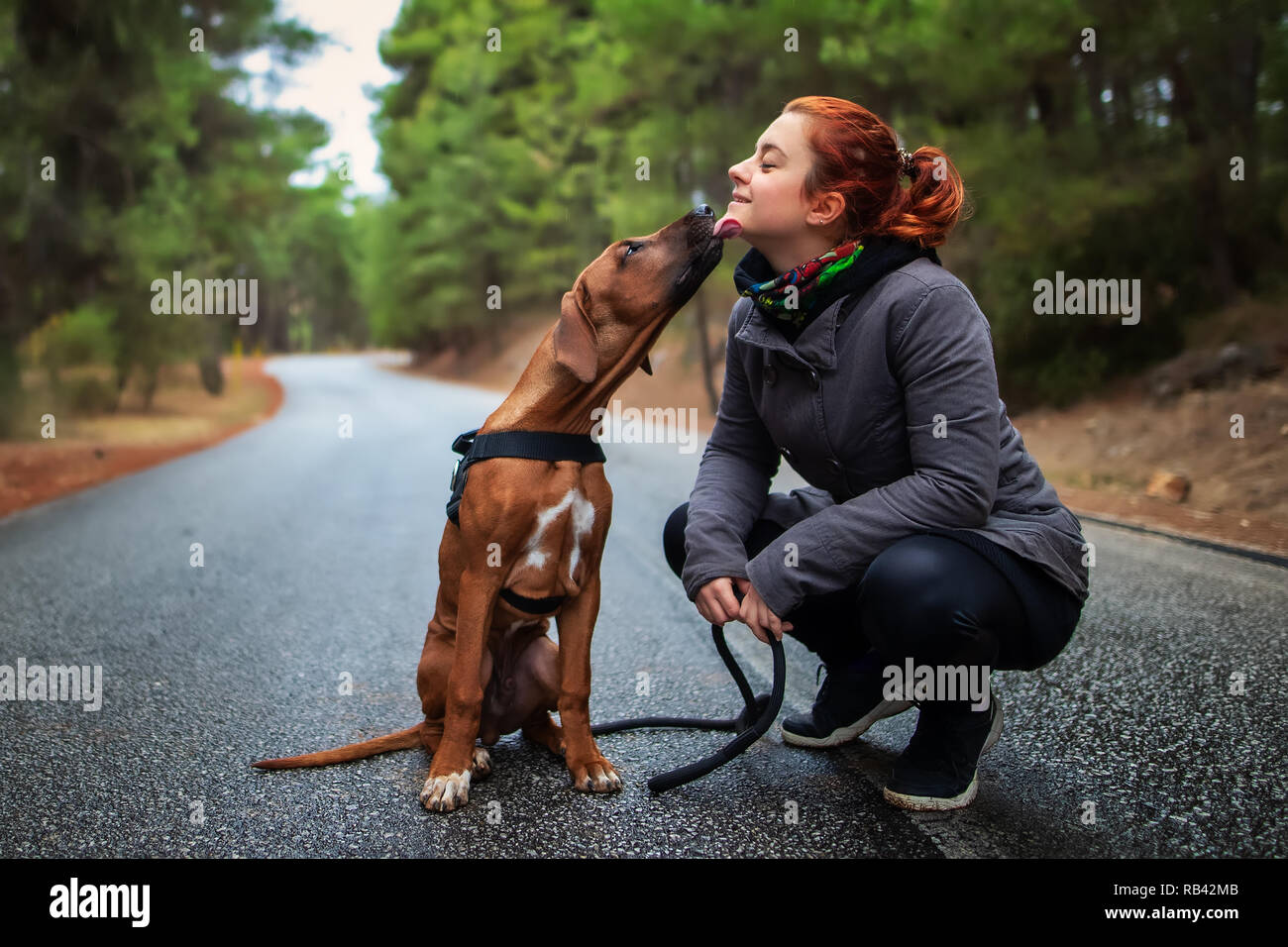 Retrato de una adolescente feliz y Ridgeback de Rhodesia dog . Perro dando chica dulce beso lamer. Aman a los animales amo a mi mascota Foto de stock