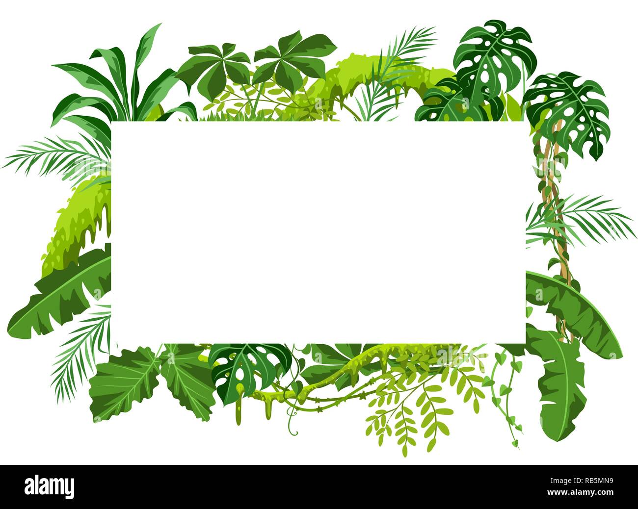 Fondo con plantas de la selva Imagen Vector de stock - Alamy