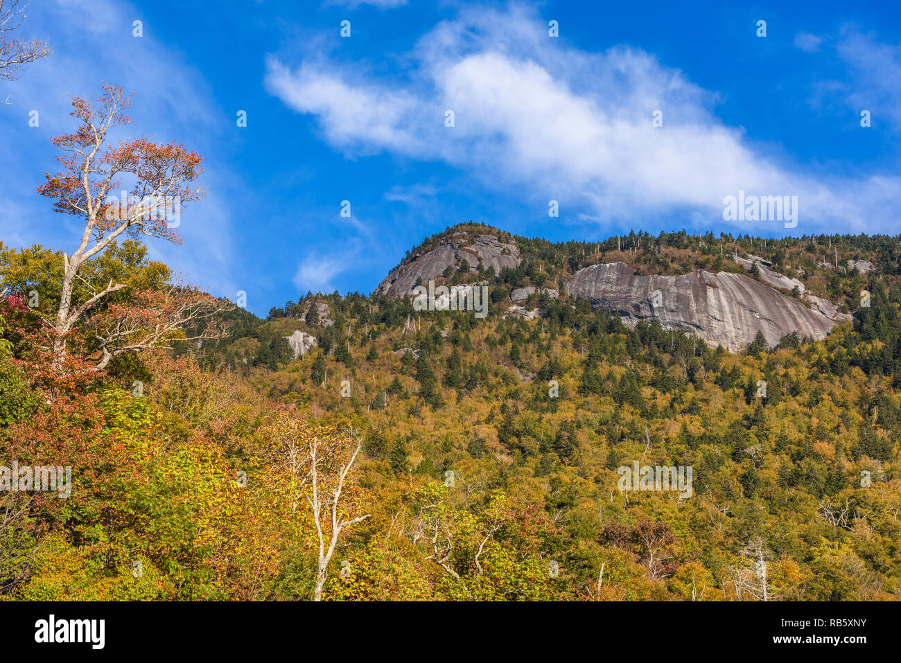 Abuelo Mountain, Carolina del Norte, EE.UU. Foto de stock