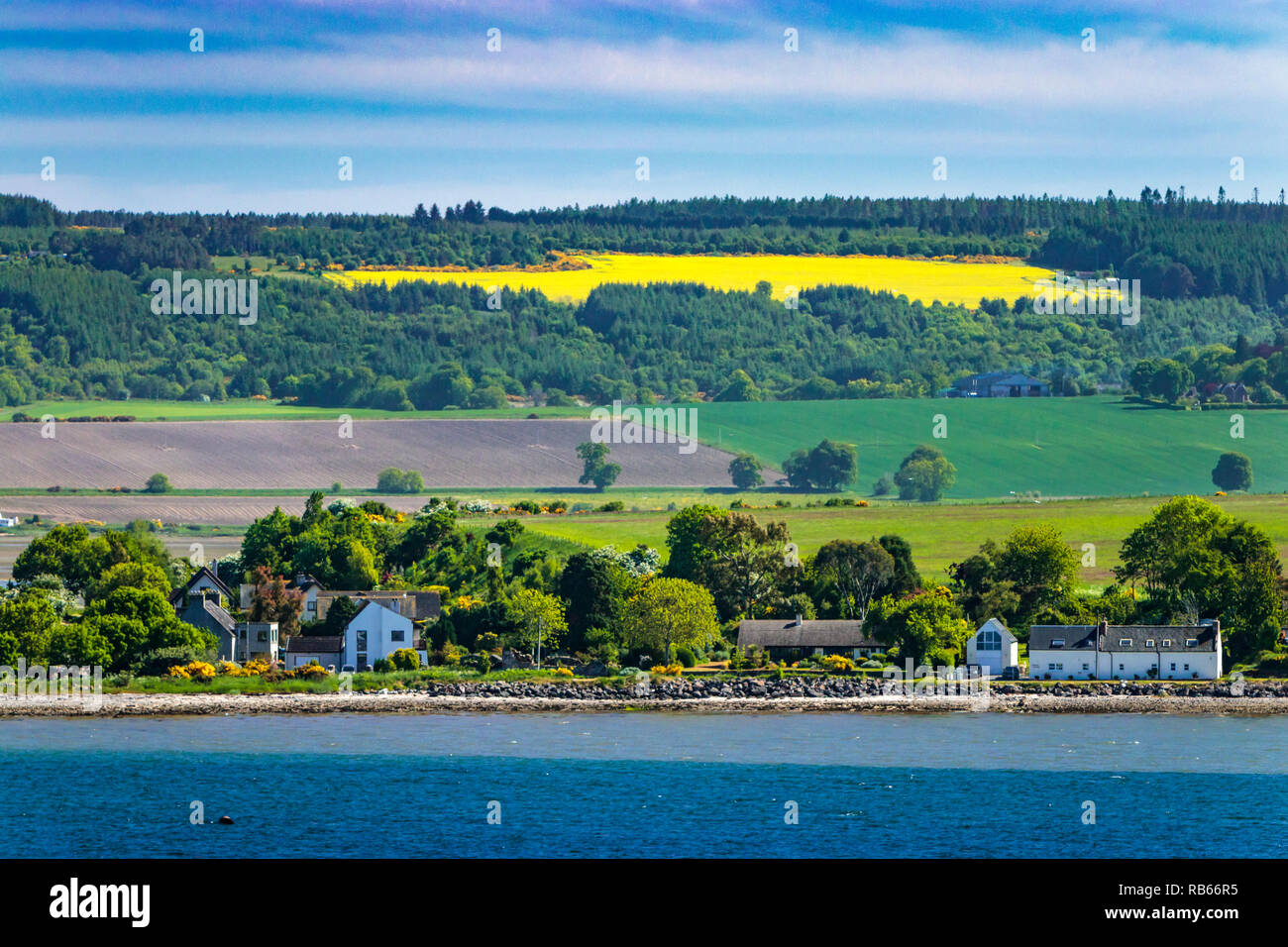 El Cromarty Firth shoreline cerca Invergordon, Sootland, Reino Unido, Europa. Foto de stock