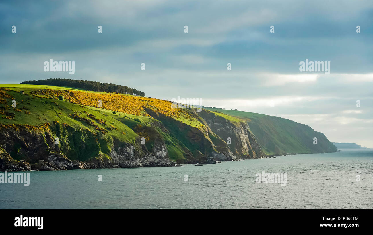 El Cromarty Firth shoreline cerca Invergordon, Sootland, Reino Unido, Europa. Foto de stock