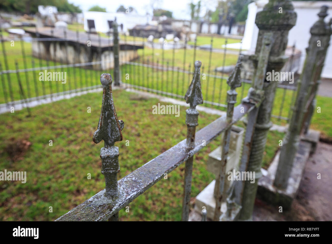 Verja de hierro forjado que rodean una grave parcela en un cementerio en Madisonville, Alabama. Foto de stock
