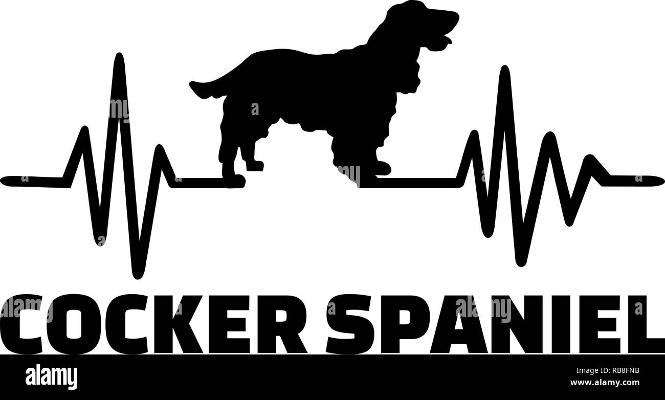 La frecuencia de latidos con perro Cocker Spaniel silueta Foto de stock
