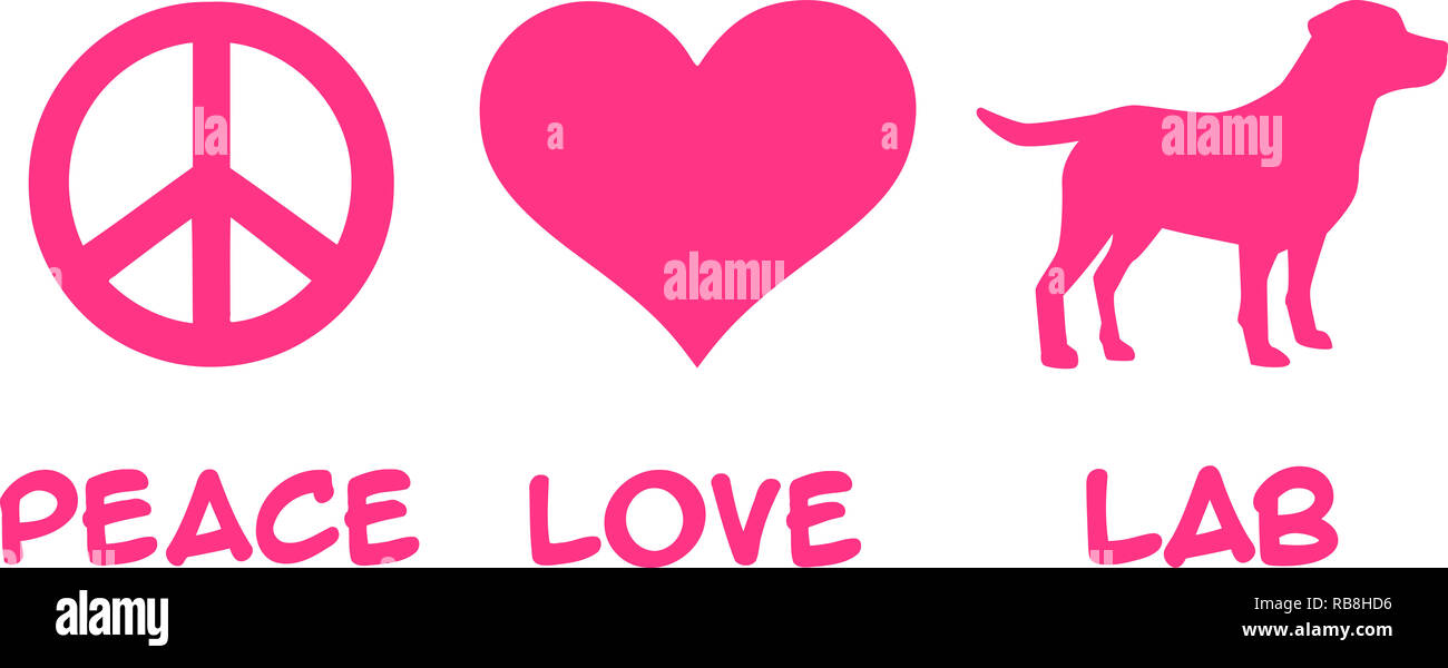 La paz, el amor, el Labrador lema rosa Foto de stock