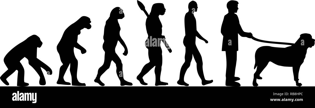 Mastiff evolución darwin con siluetas Foto de stock