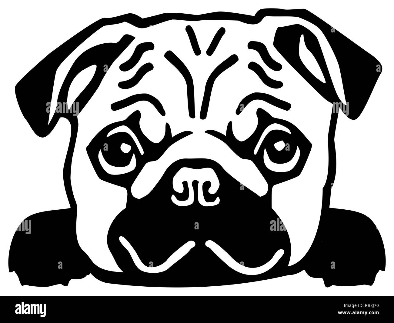 Cabeza de pug Imágenes de stock en blanco y negro - Alamy