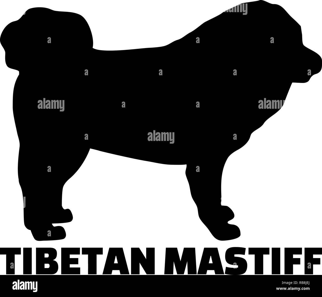 Perro Mastín tibetano silueta real con Word Foto de stock