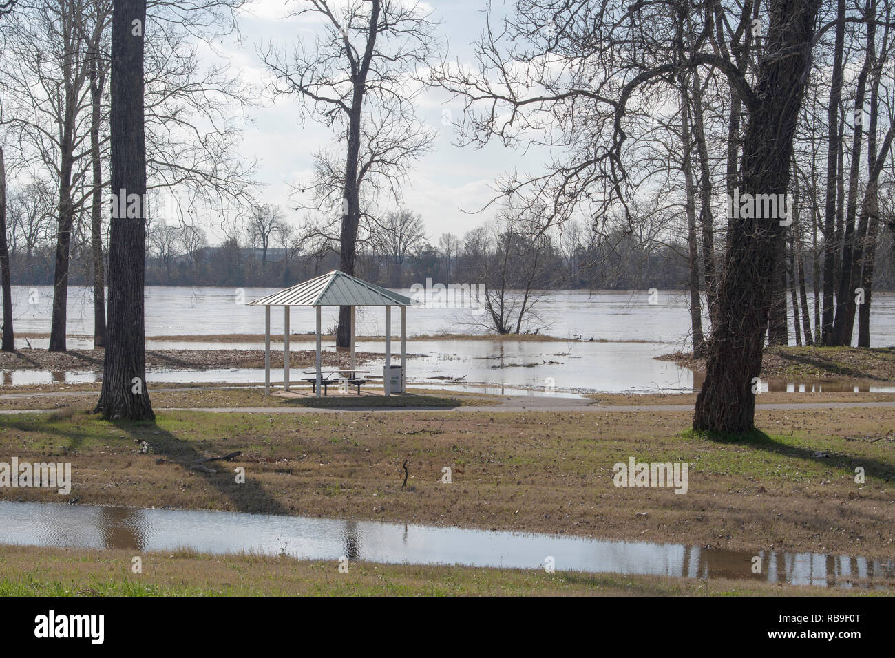 Bossier City, Luisiana, EE.UU., 8 de enero de 2019. Una zona de picnic está inundada como el Río Rojo overtops sus bancos. Crédito: Allen J.M. Smith/Alamy Live News Foto de stock