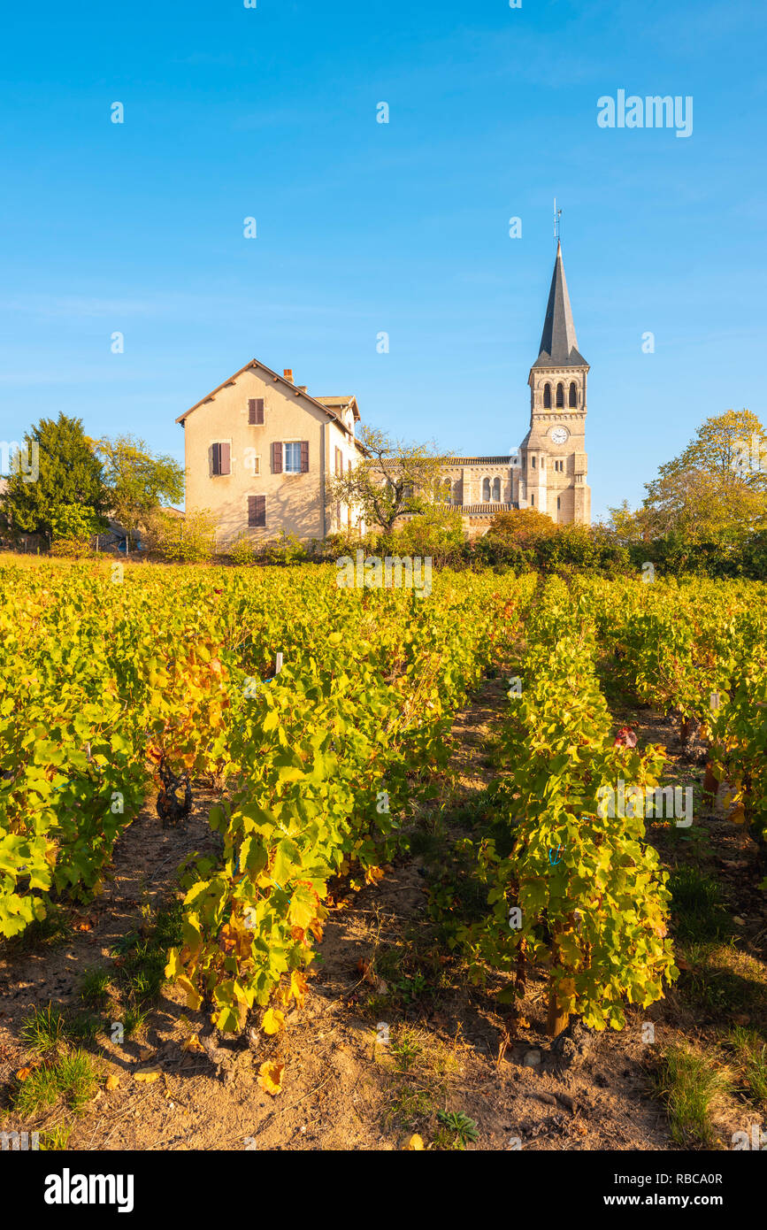 Francia, Auvergne-Rhone-Alpes, Beaujolais cru región vinícola, Chenas. Foto de stock
