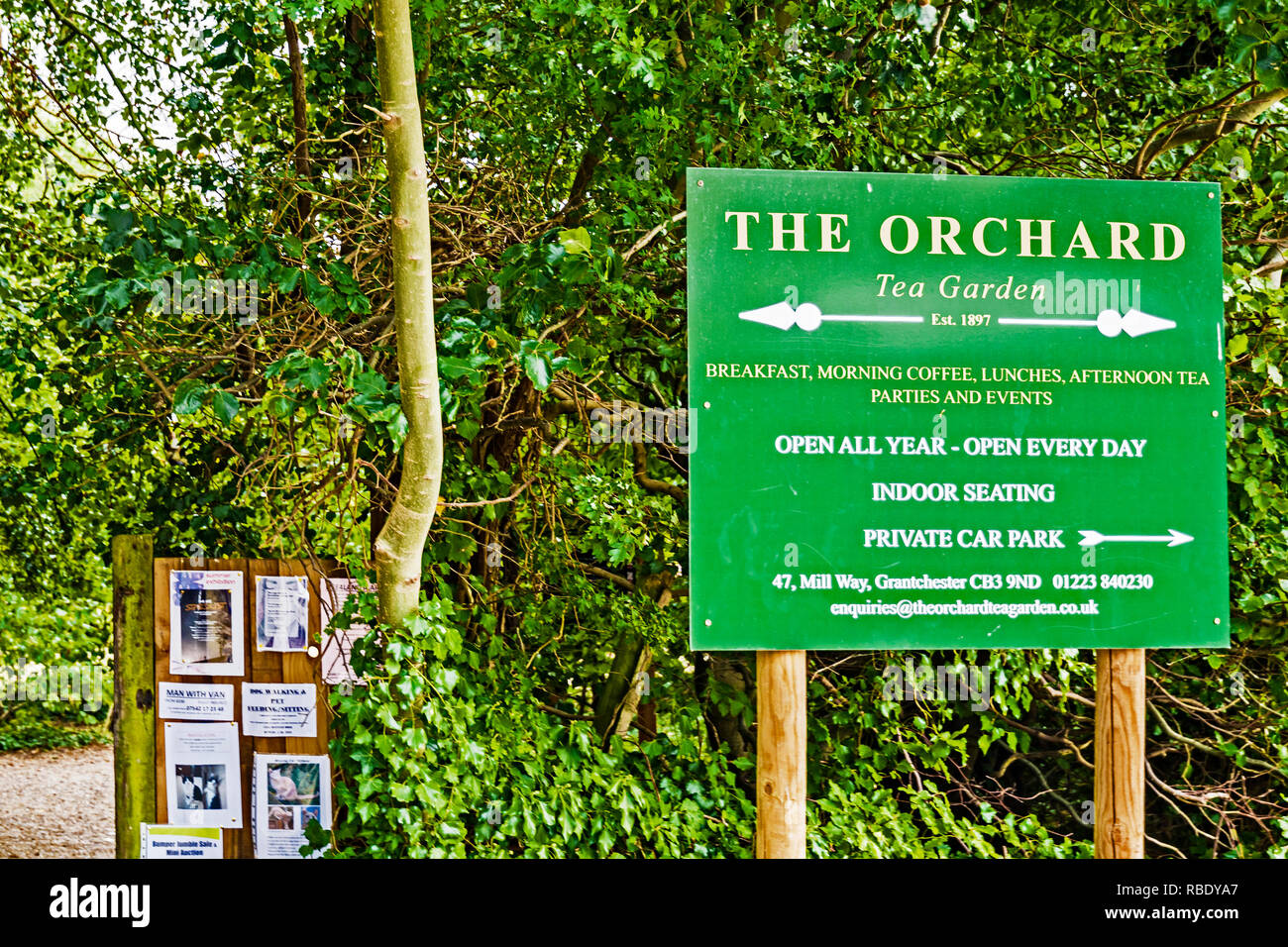 Grabtchester cerca de Cambridge, Inglaterra: Orchard Tea Garden Foto de stock