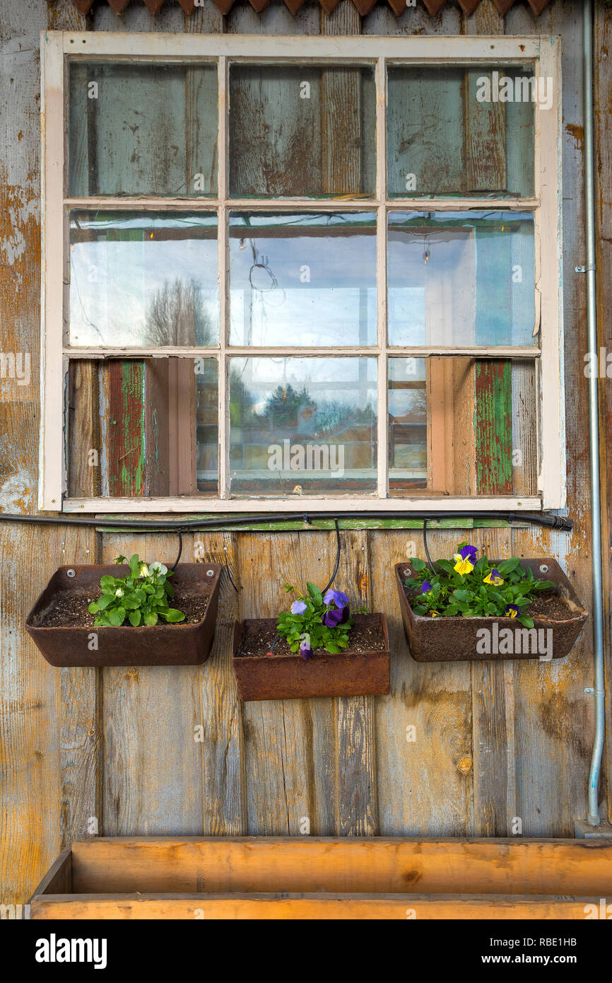 Casa antigua ventana con sembradoras de flores en finca rural Foto de stock