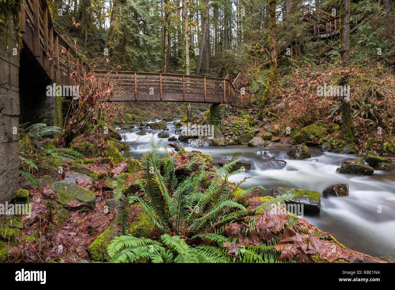 Puente y escaleras a lo largo de senderos en McDowell Creek Falls County Park en Oregon Foto de stock