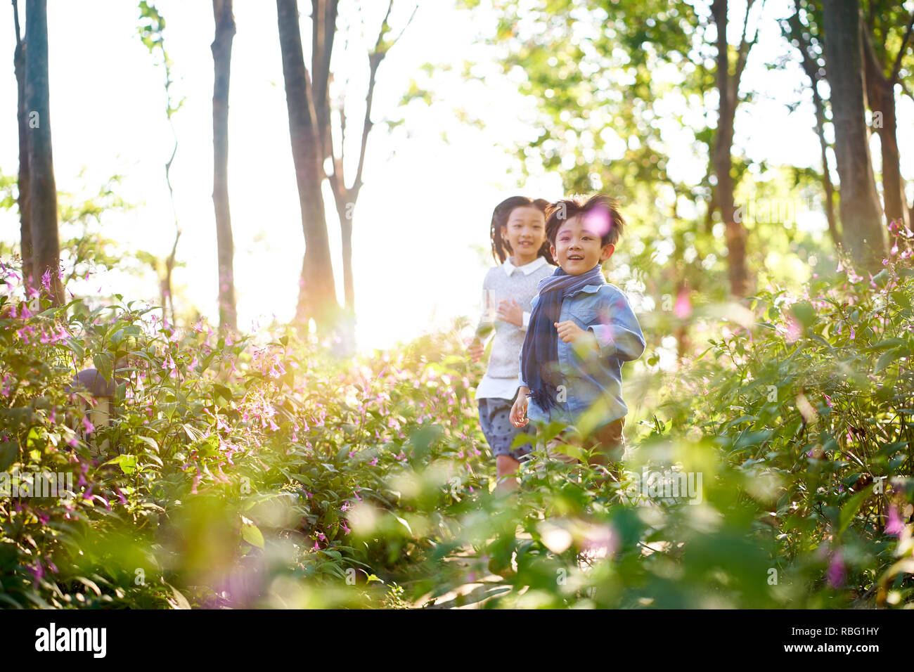 Dos pequeños niños asiáticos chico y chica corriendo a través del campo de flores en el parque. Foto de stock