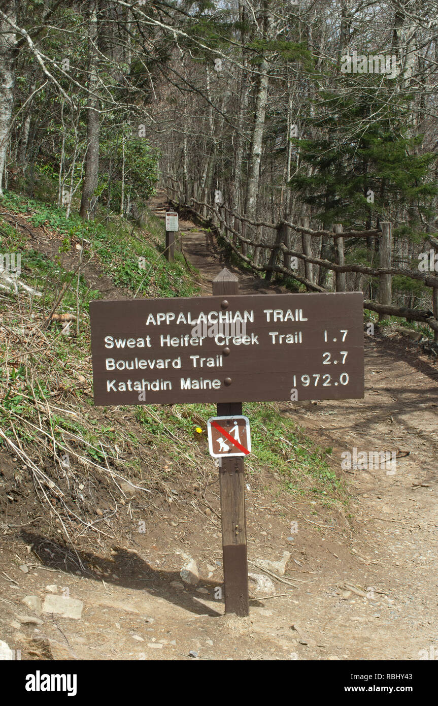 Appalachian Trail kilometraje signo, parque nacional Great Smokey Mountains, borde de NC y TN. Fotografía Digital. Foto de stock
