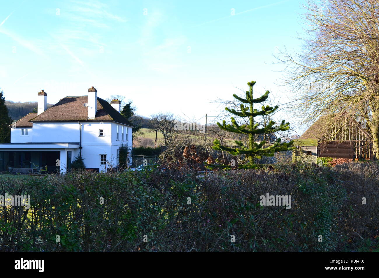 Una casa grande con araucaria y una elegante extensión en una aldea rural llamada Austin Lodge en Kent, cerca de Eynsford y Shoreham. Invierno Foto de stock