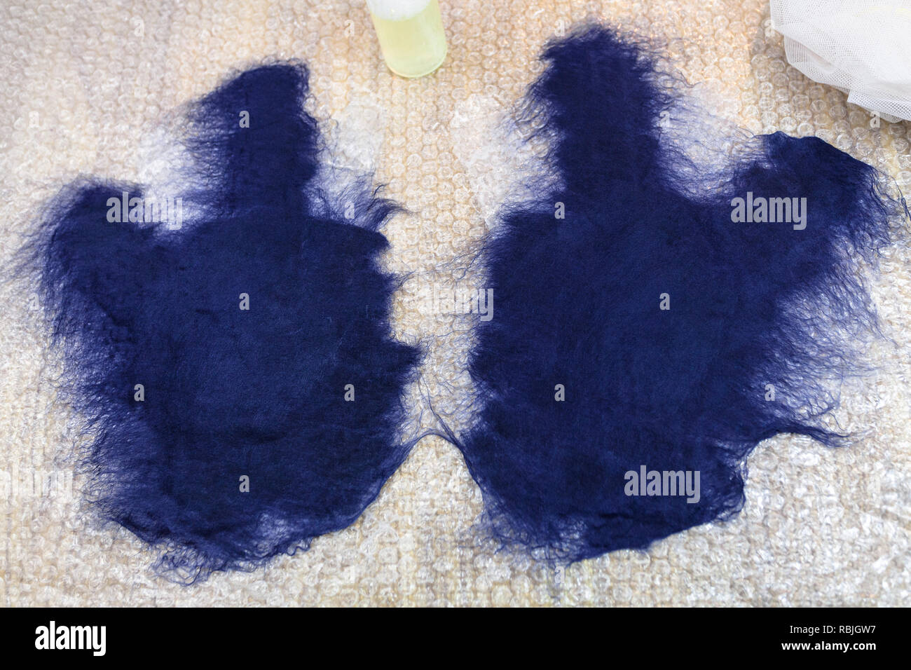 Taller de la mano haciendo un vellón de lana guantes de lana de oveja merina azul mediante proceso fieltrado húmedo - Humedecer la primera capa de fibras en el plano de corte Foto de stock