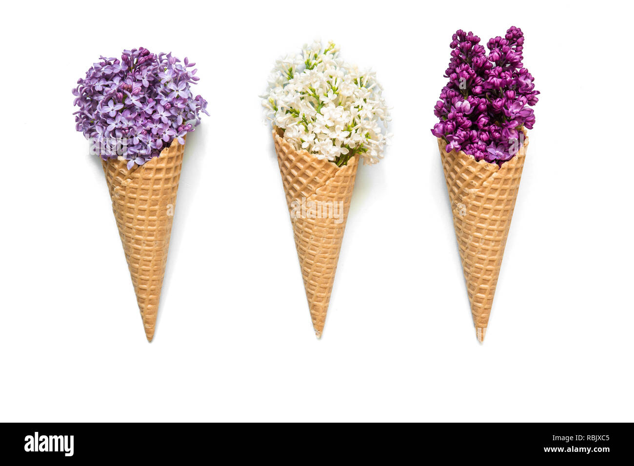 Conos de helado con coloridas flores lila aislado sobre fondo blanco. vista superior laicos plana. Foto de stock