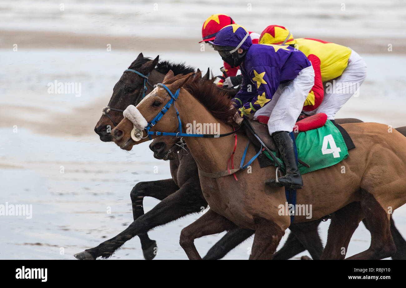 La acción de cierre de carrera al galope de carreras de caballos y jinetes en la playa Foto de stock