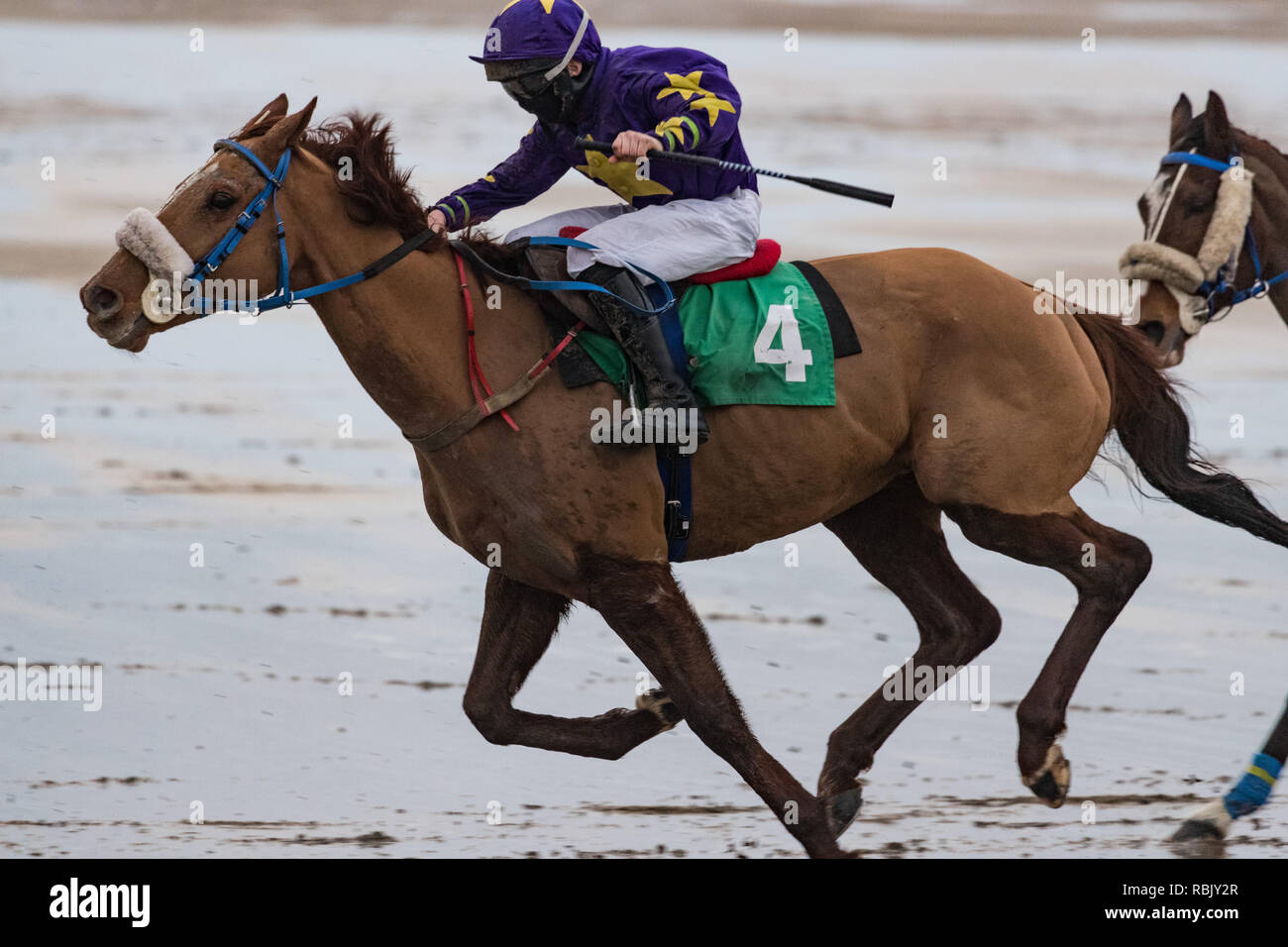 La acción de cierre de galope y jockey de carreras de caballos de carreras en la playa Foto de stock