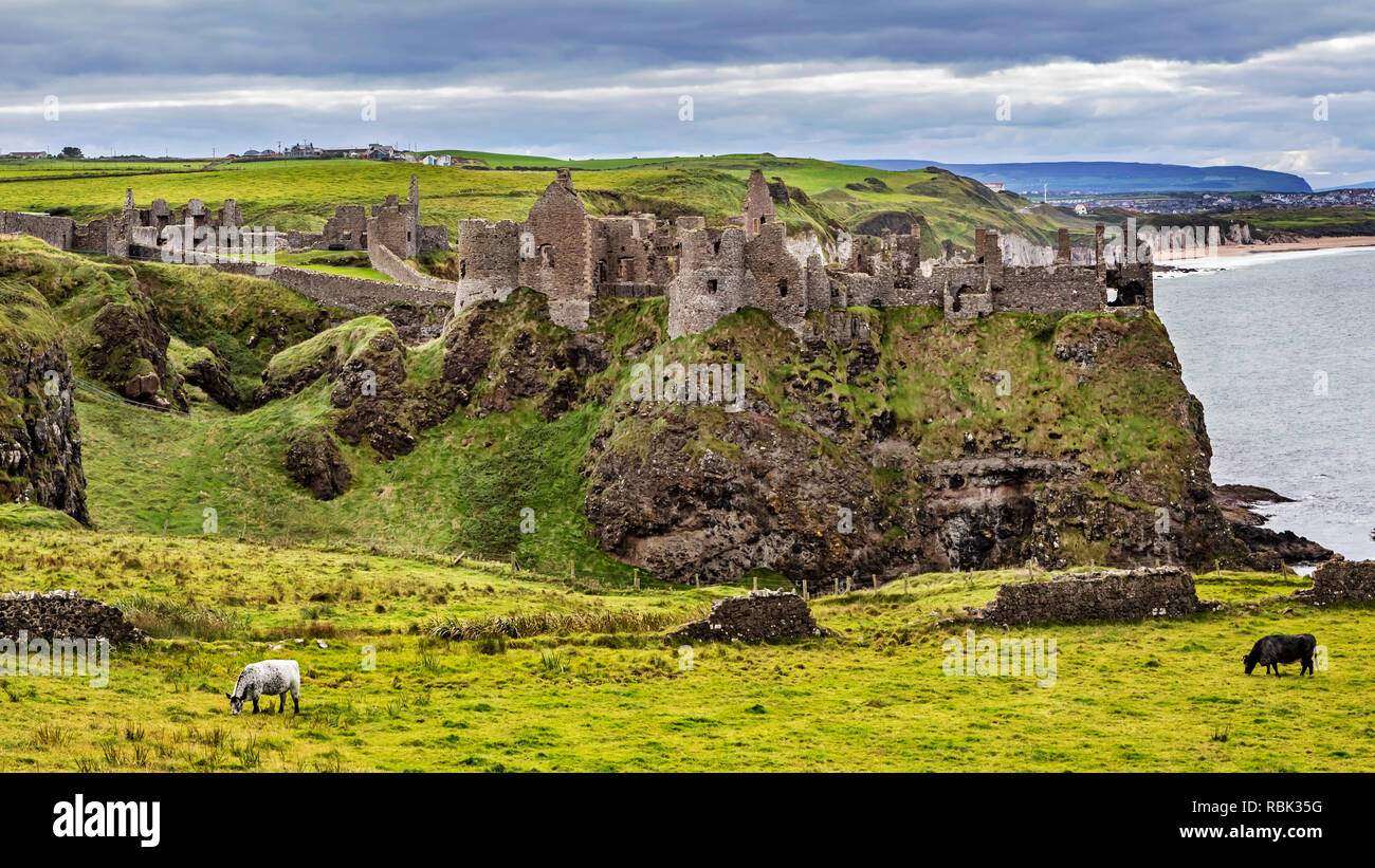 El Castillo de Dunluce en el Condado de Antrim de Irlanda del Norte. El castillo medieval se presenta como el Castillo Grayjoy en el Juego de tronos. Foto de stock