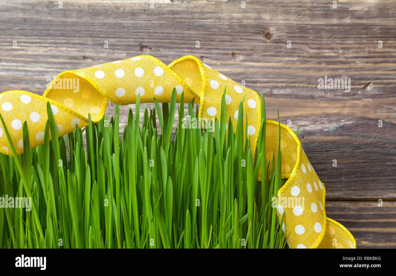 La pasto verde con cinta amarilla sobre fondo de madera rústica Fotografía  de stock - Alamy