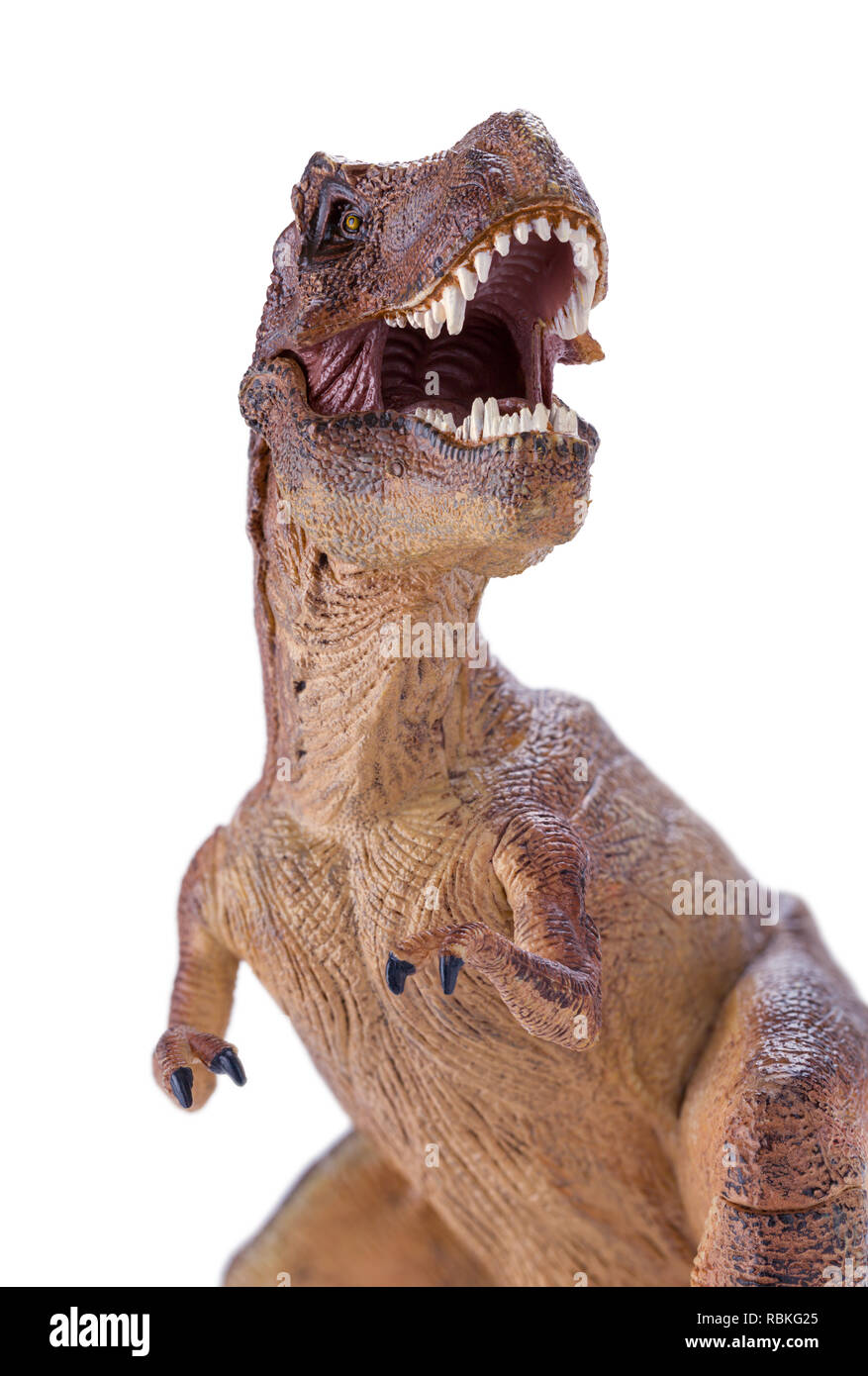 T rex rugir fotografías e imágenes de alta resolución - Alamy T rex rugir fotografías e imágenes de alta resolución - Alamy