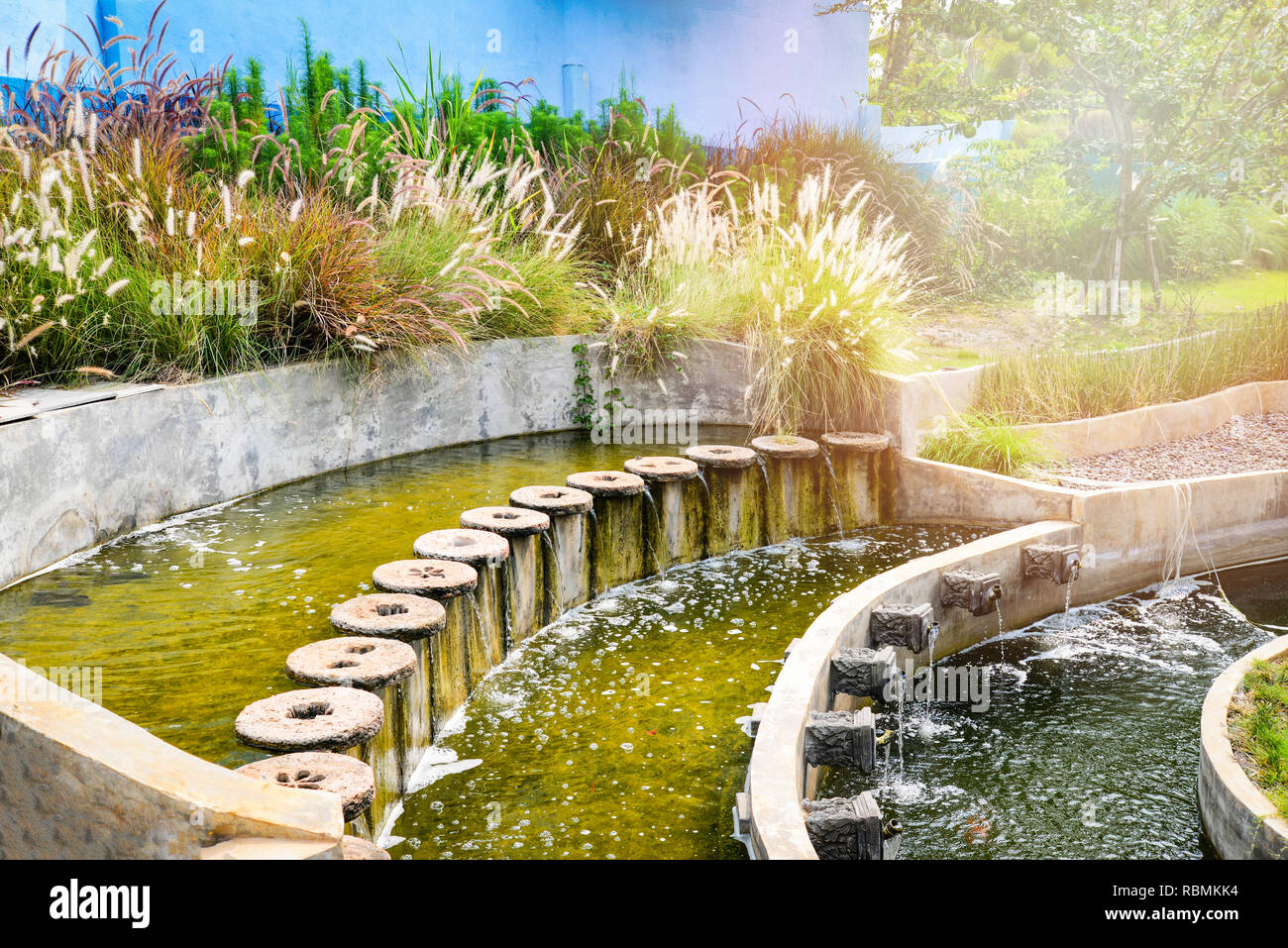 El agua del estanque en el jardín / hermoso clásico diseño redondo para  peces estanque de jardín con fuente de agua para el flujo de oxígeno del  estanque de la naturaleza Fotografía