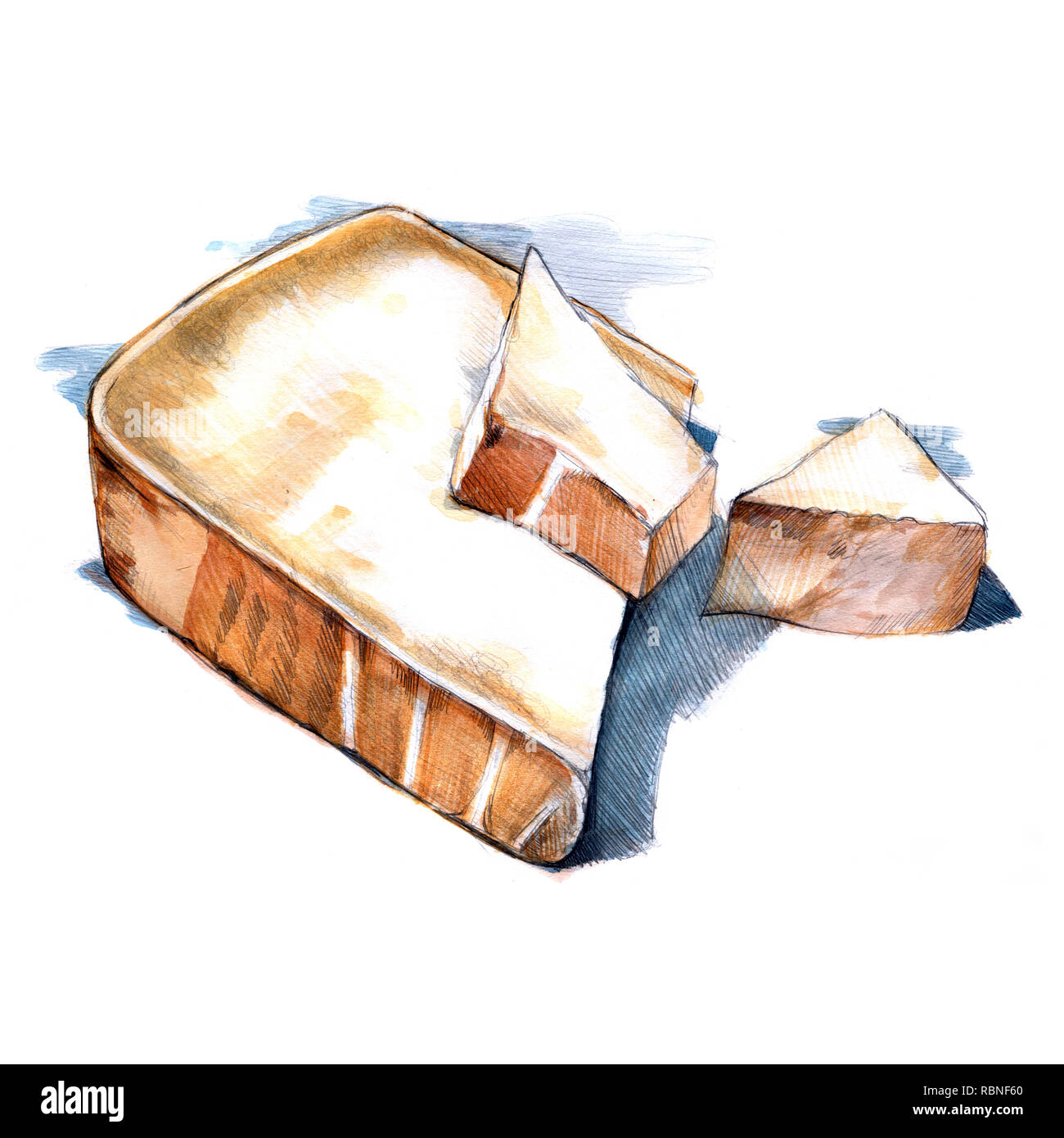 Queso parmigiano reggiano acuarela ilustración sobre fondo blanco. Foto de stock