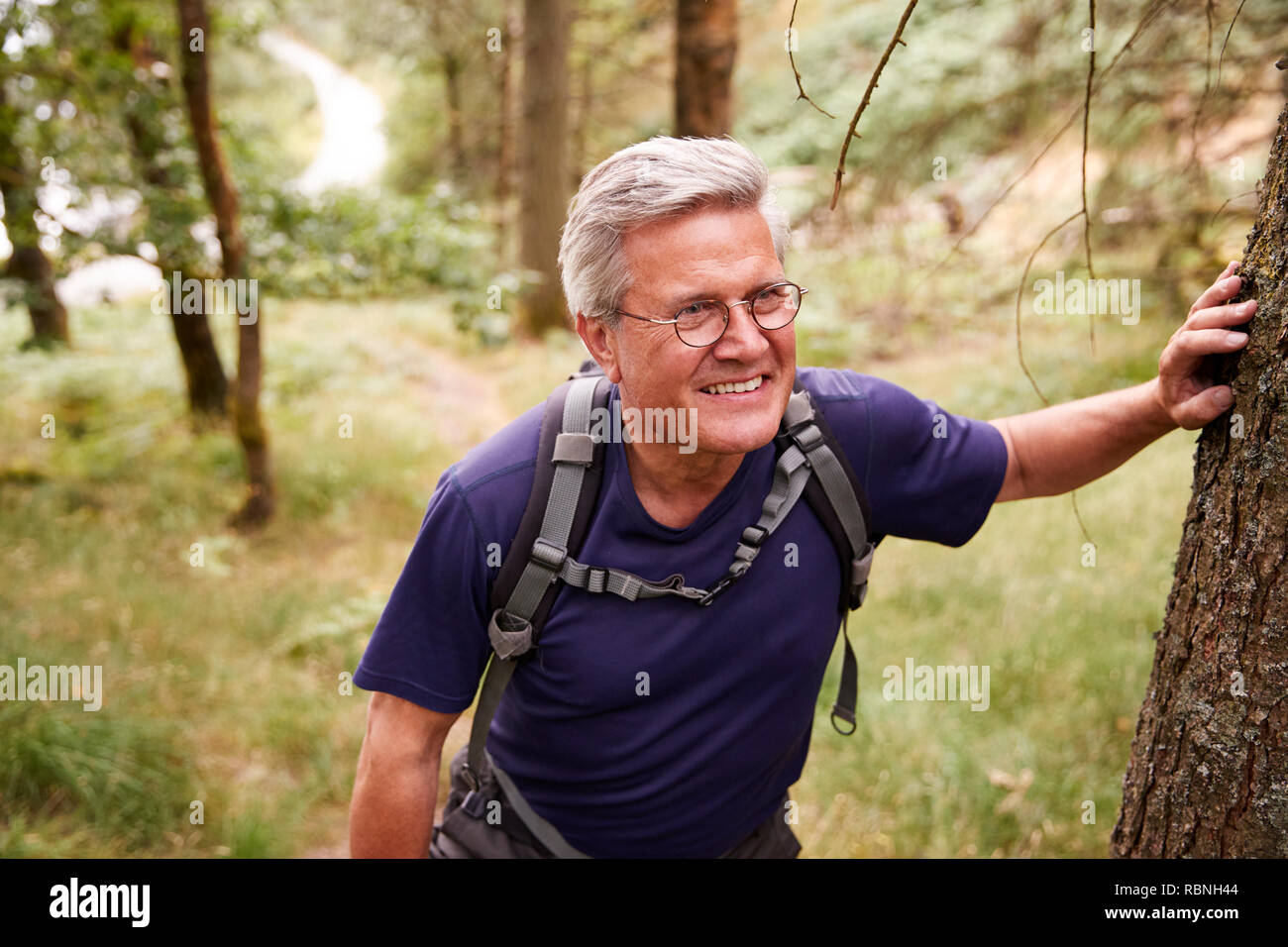 Hombre caucásicos de mediana edad tomando un descanso durante una caminata, recostada en un árbol en un bosque, de cintura para arriba Foto de stock