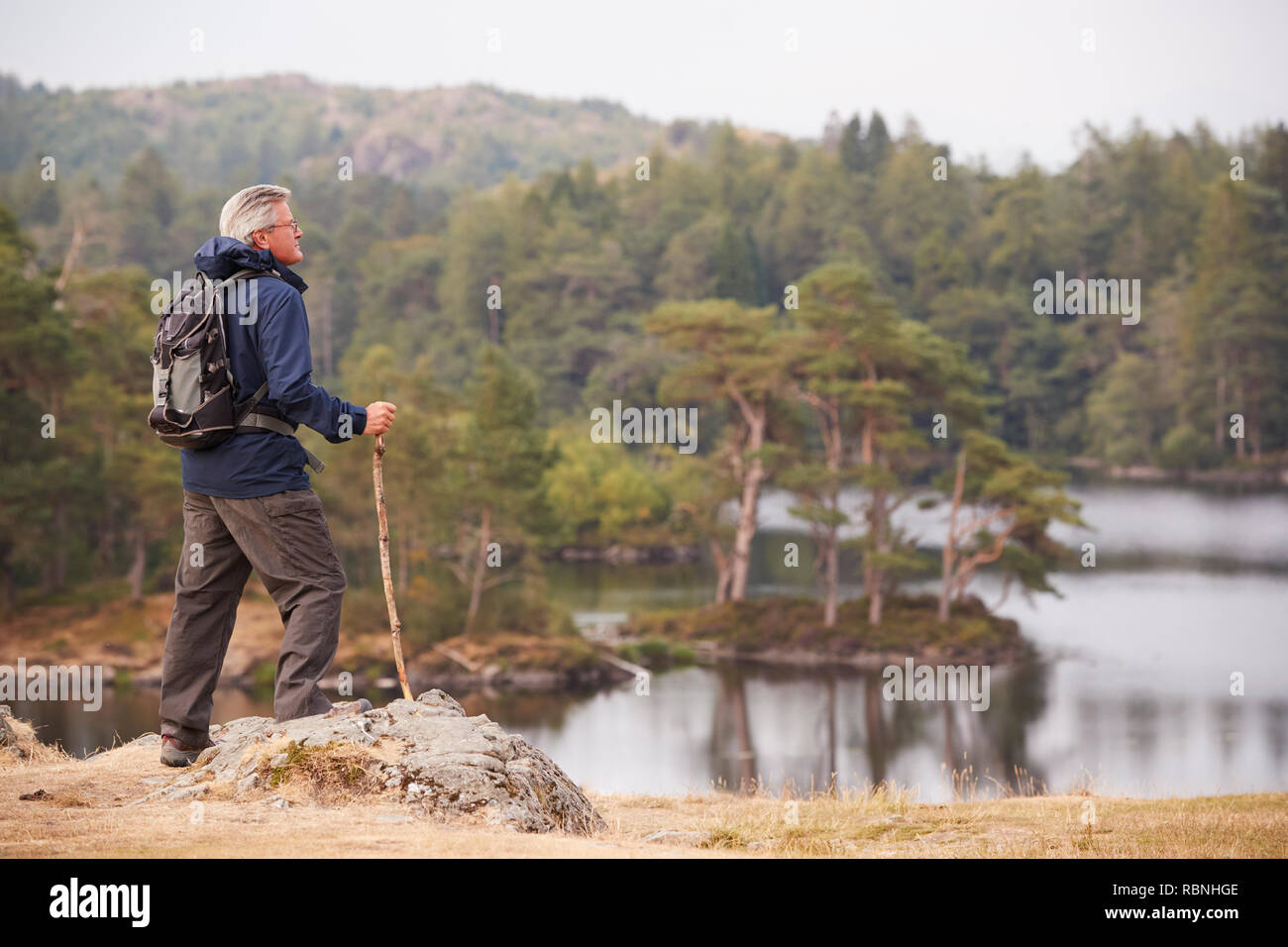 Un varón de mediana edad de pie sobre una roca, admirando la vista de un lago, vista lateral, Lake District, RU Foto de stock